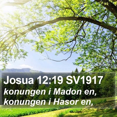 Josua 12:19 SV1917 Bible Verse Image
