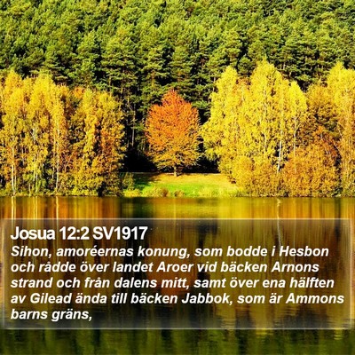 Josua 12:2 SV1917 Bible Verse Image