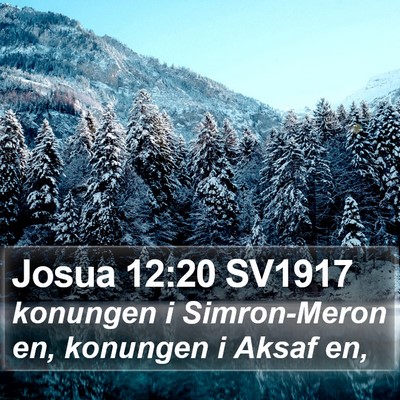 Josua 12:20 SV1917 Bible Verse Image