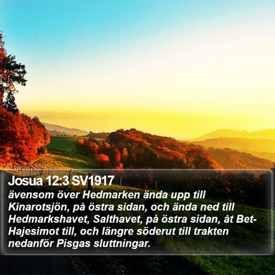 Josua 12:3 SV1917 Bible Verse Image