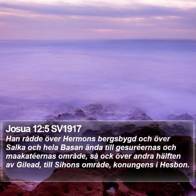 Josua 12:5 SV1917 Bible Verse Image