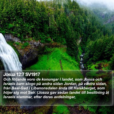 Josua 12:7 SV1917 Bible Verse Image