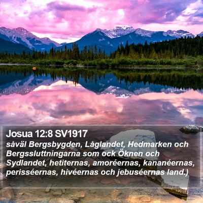 Josua 12:8 SV1917 Bible Verse Image