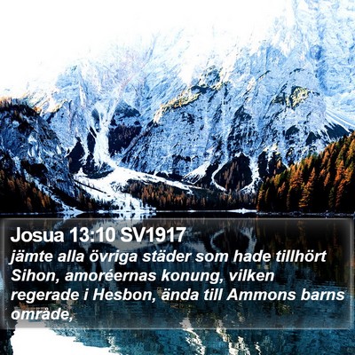 Josua 13:10 SV1917 Bible Verse Image