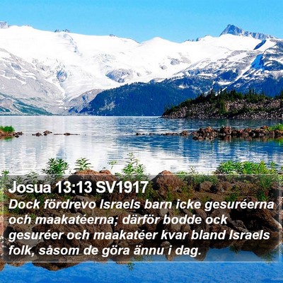 Josua 13:13 SV1917 Bible Verse Image