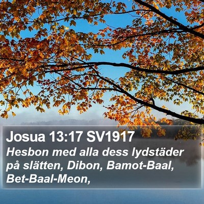Josua 13:17 SV1917 Bible Verse Image