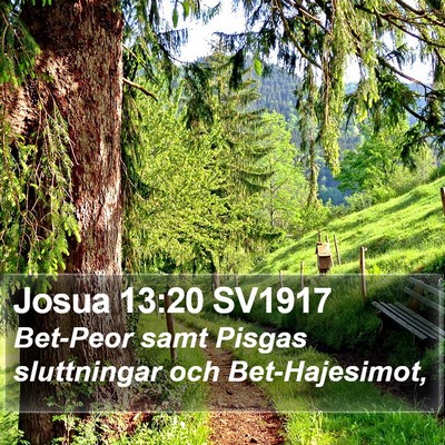 Josua 13:20 SV1917 Bible Verse Image