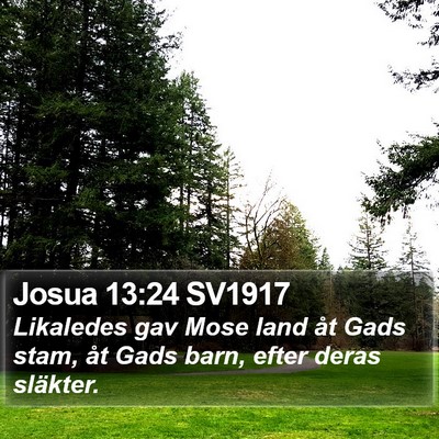 Josua 13:24 SV1917 Bible Verse Image