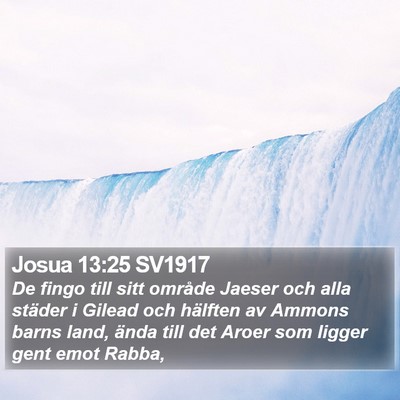 Josua 13:25 SV1917 Bible Verse Image