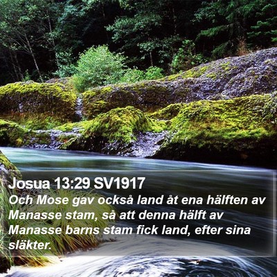 Josua 13:29 SV1917 Bible Verse Image