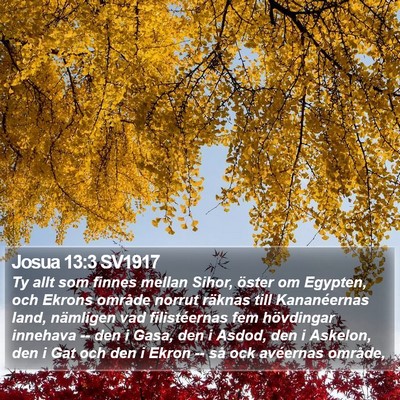 Josua 13:3 SV1917 Bible Verse Image