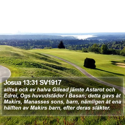 Josua 13:31 SV1917 Bible Verse Image