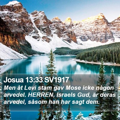 Josua 13:33 SV1917 Bible Verse Image