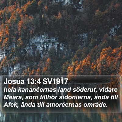 Josua 13:4 SV1917 Bible Verse Image