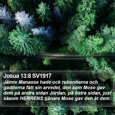Josua 13:8 SV1917 Bible Verse Image