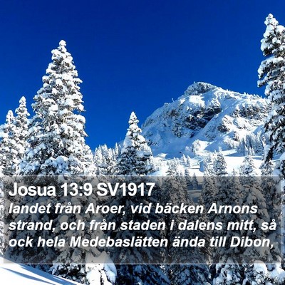 Josua 13:9 SV1917 Bible Verse Image