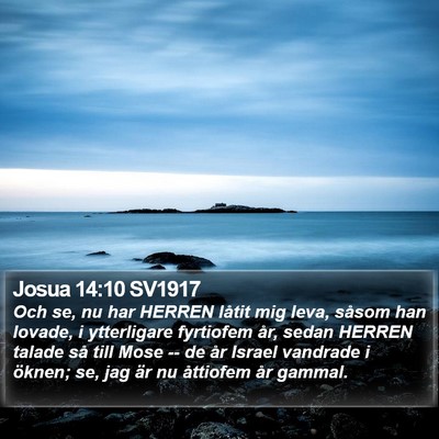 Josua 14:10 SV1917 Bible Verse Image