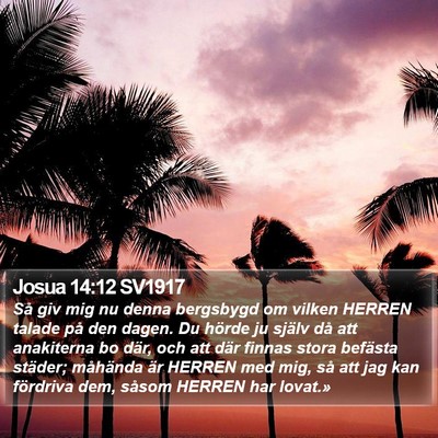 Josua 14:12 SV1917 Bible Verse Image