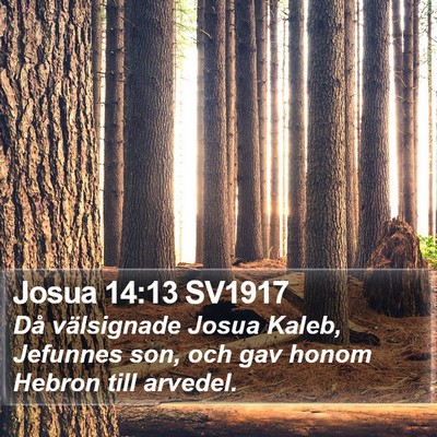 Josua 14:13 SV1917 Bible Verse Image
