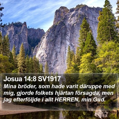 Josua 14:8 SV1917 Bible Verse Image