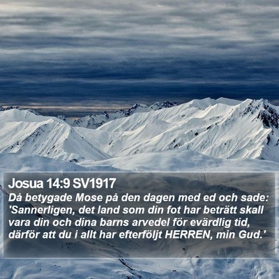 Josua 14:9 SV1917 Bible Verse Image