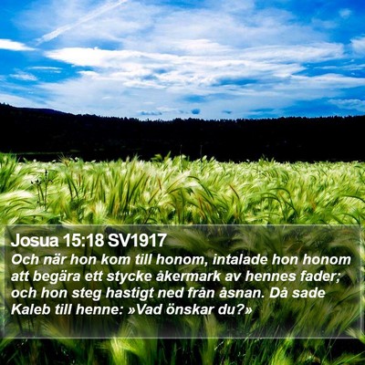 Josua 15:18 SV1917 Bible Verse Image