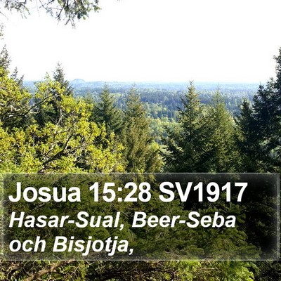 Josua 15:28 SV1917 Bible Verse Image