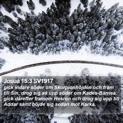 Josua 15:3 SV1917 Bible Verse Image