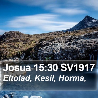 Josua 15:30 SV1917 Bible Verse Image