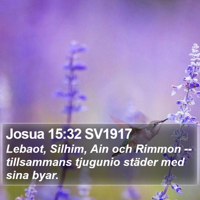 Josua 15:32 SV1917 Bible Verse Image