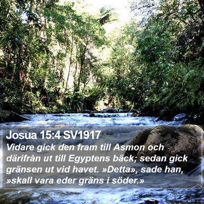 Josua 15:4 SV1917 Bible Verse Image