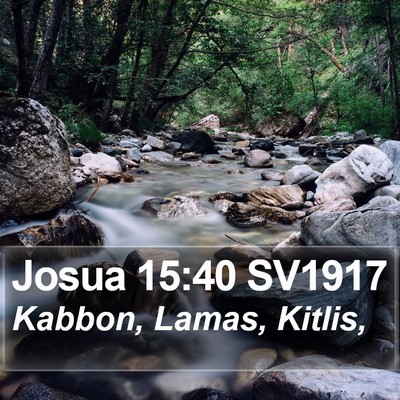Josua 15:40 SV1917 Bible Verse Image