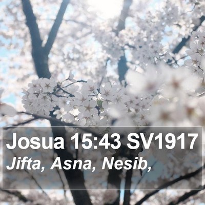 Josua 15:43 SV1917 Bible Verse Image