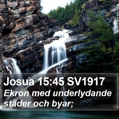 Josua 15:45 SV1917 Bible Verse Image