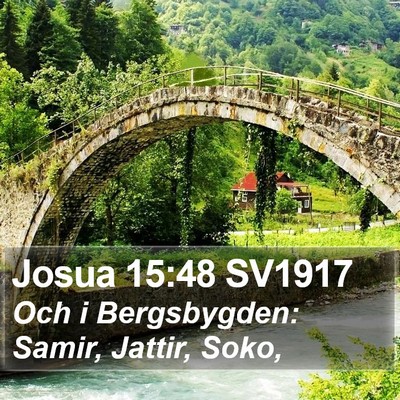 Josua 15:48 SV1917 Bible Verse Image