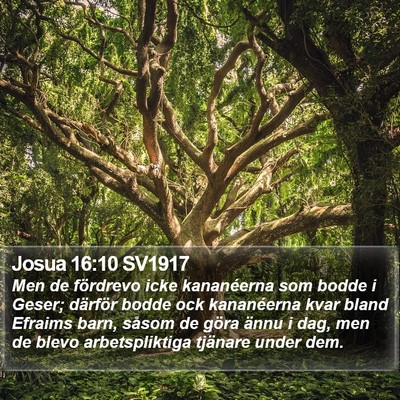 Josua 16:10 SV1917 Bible Verse Image