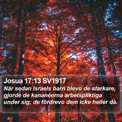 Josua 17:13 SV1917 Bible Verse Image