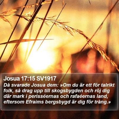Josua 17:15 SV1917 Bible Verse Image