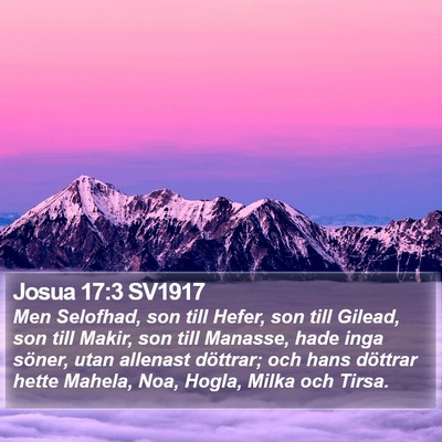 Josua 17:3 SV1917 Bible Verse Image