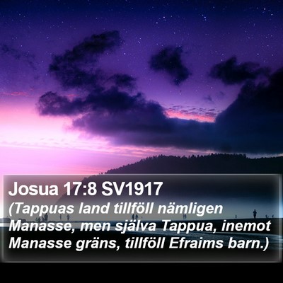 Josua 17:8 SV1917 Bible Verse Image