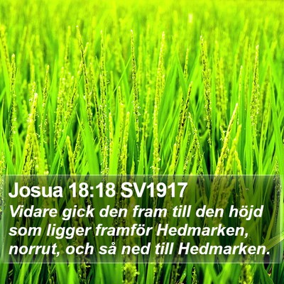 Josua 18:18 SV1917 Bible Verse Image