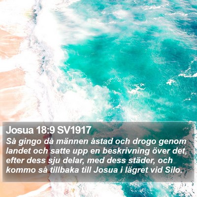 Josua 18:9 SV1917 Bible Verse Image