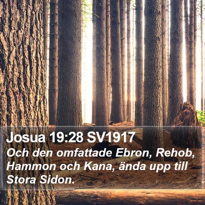 Josua 19:28 SV1917 Bible Verse Image
