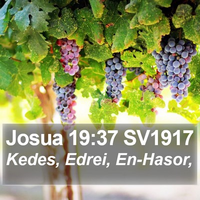 Josua 19:37 SV1917 Bible Verse Image