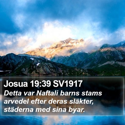 Josua 19:39 SV1917 Bible Verse Image