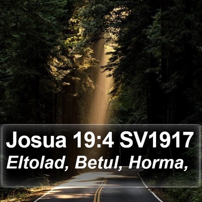 Josua 19:4 SV1917 Bible Verse Image