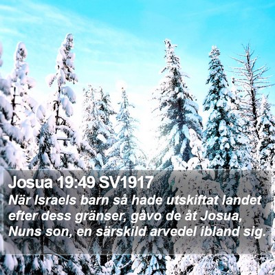 Josua 19:49 SV1917 Bible Verse Image