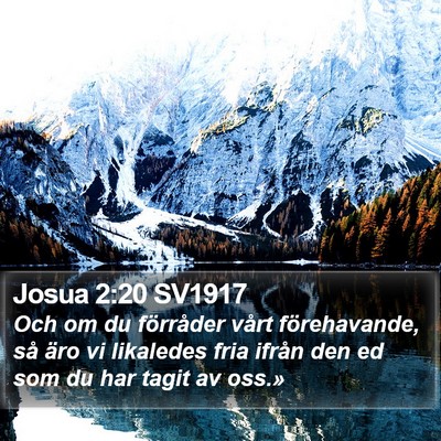 Josua 2:20 SV1917 Bible Verse Image