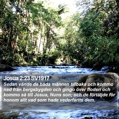 Josua 2:23 SV1917 Bible Verse Image