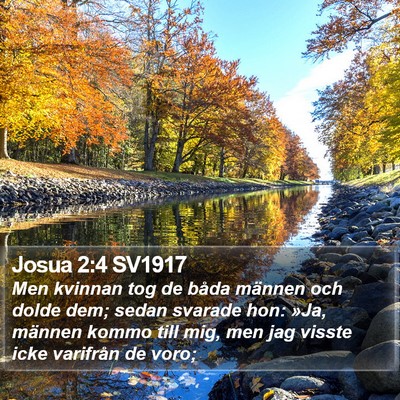 Josua 2:4 SV1917 Bible Verse Image